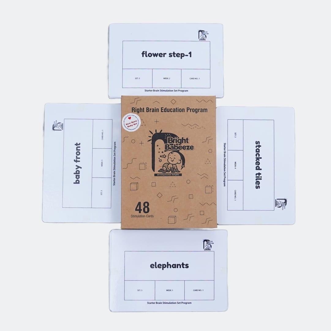 Right Brain Flash Cards