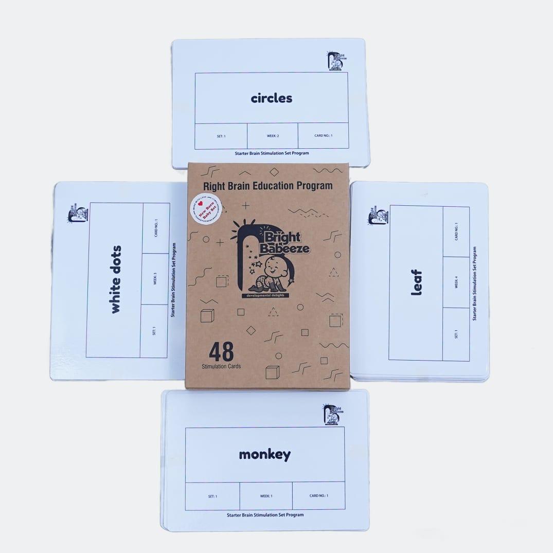 Right Brain Flash Cards