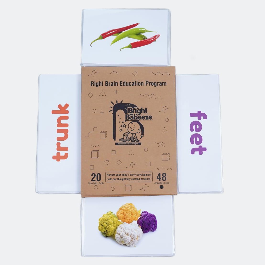 Right Brain Flash Cards