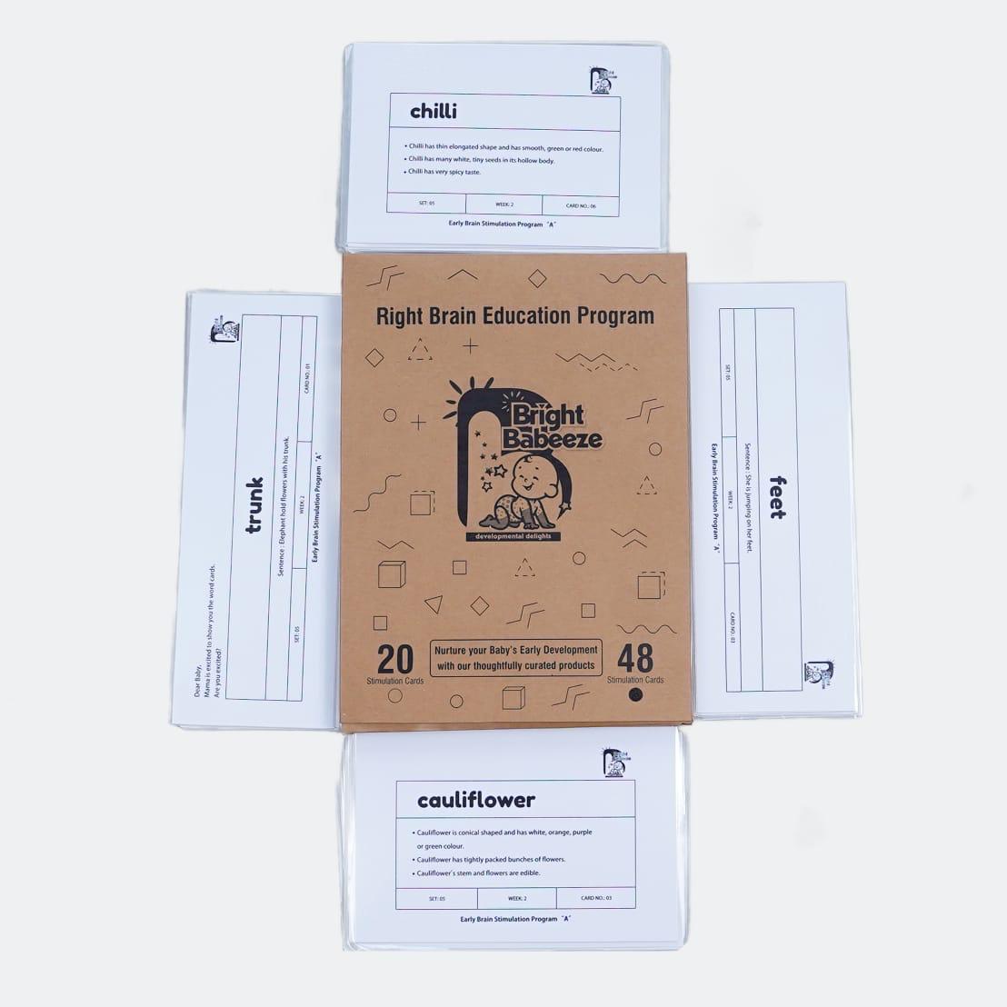 Right Brain Flash Cards