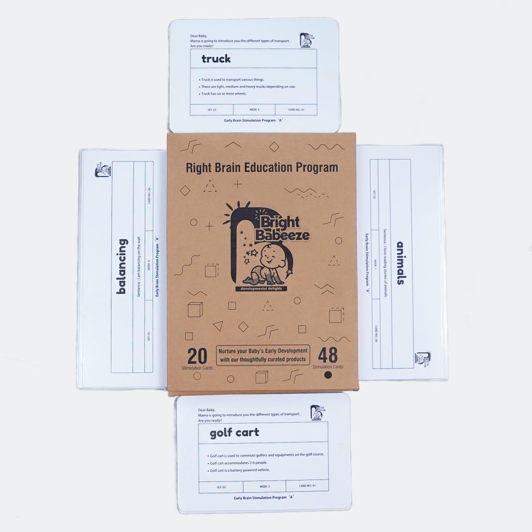 Right Brain Flash Cards