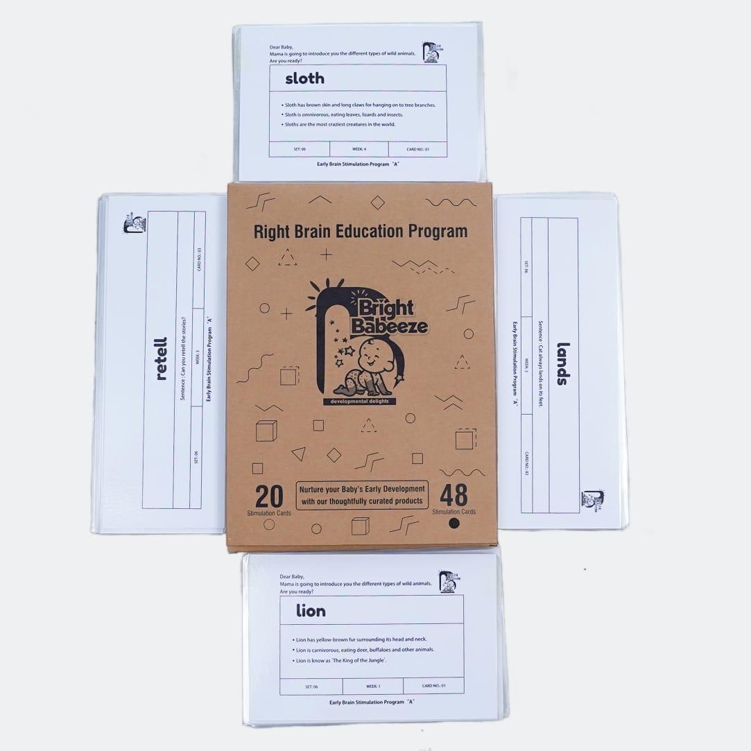 Right Brain Flash Cards