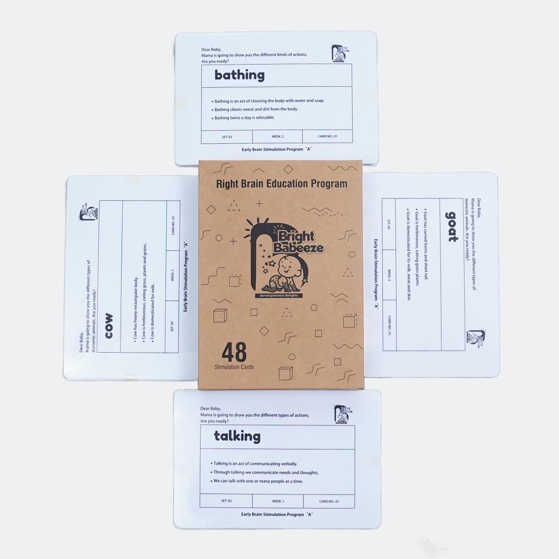 Right Brain Flash Cards